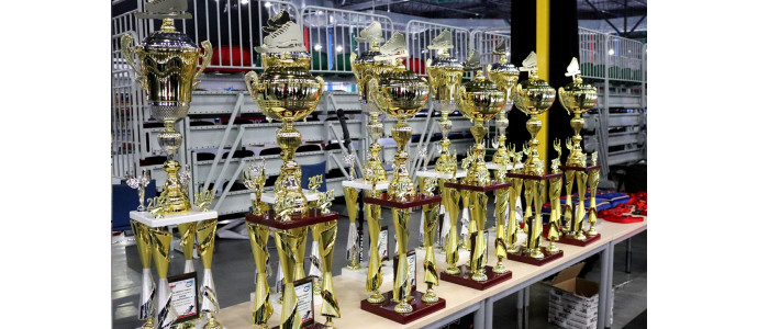 ARENA DLA NIEPODLEGŁEJ III